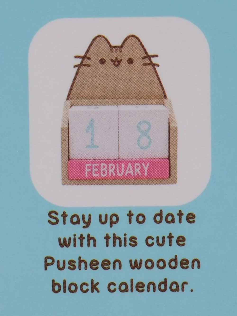 Pusheen Box 2019 Summer Wooden Block Calendar